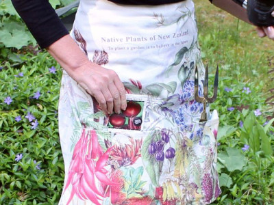 Half Apron Sue Wickison 1
